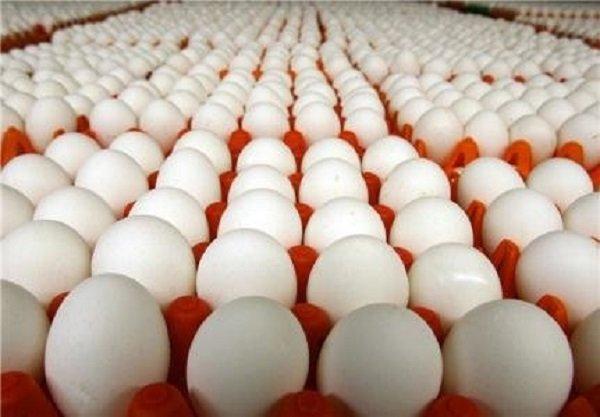 آمار صادرات تخم مرغ در سال 97 به صفر رسید آمار صادرات تخم مرغ در سال 97 به صفر رسید