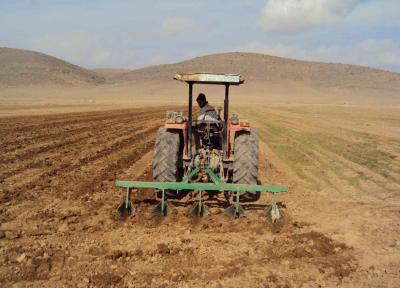 خبرنگاران 13 هزار تن بذر اصلاح شده غلات در خراسان شمالی توزیع شد