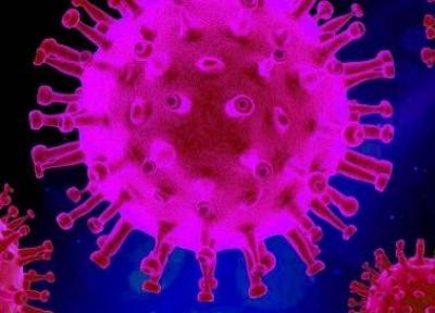 شناسایی نخستین مبتلا به ویروس جدید کرونا در فرانسه