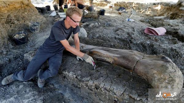 عکس، کشف استخوان 400 کیلوگرمی یک دایناسور در فرانسه