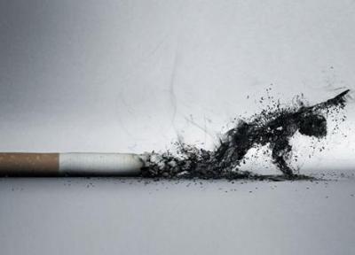 سیگار با دستگاه تنفسی انسان چه می کند؟