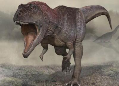 رونمایی دانشمندان از اسکلت تازه کشف شده یک دایناسور