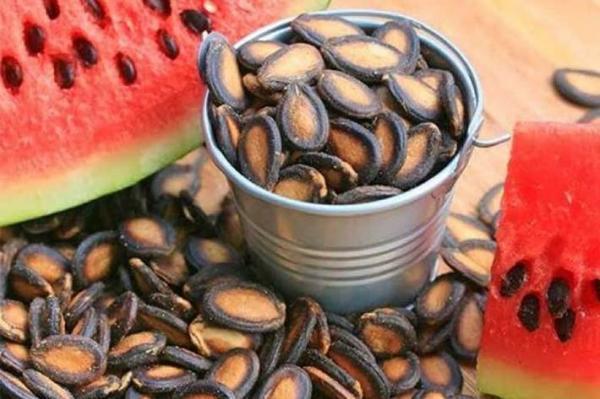 استخوان هایتان را با دانه های این میوه محکم کنید استخوان هایتان را با دانه های این میوه محکم کنید